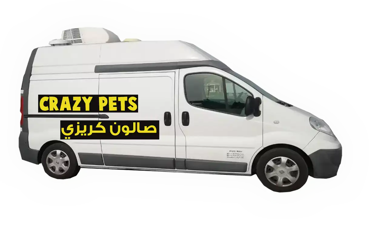 pet taxi services everywhere in uae