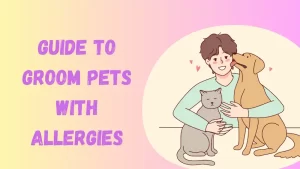 Guide to Groom Pets With Allergies