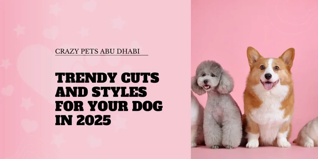 trendy dog styles 2025