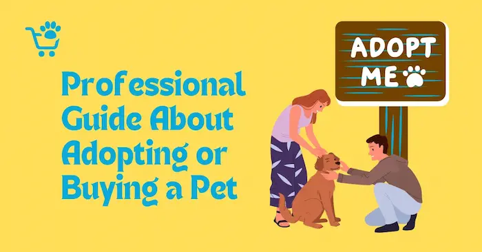 Professional Guide of adopting pets