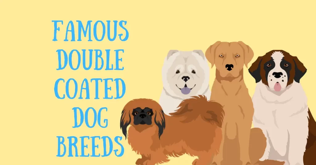 Famous Double coated dog breeds