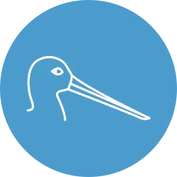 Professional mobile beak trimming service for birds in Abu Dhabi