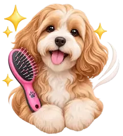 Dog grooming for healthier skin and coat