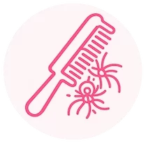 Cat grooming to prevent coat matting