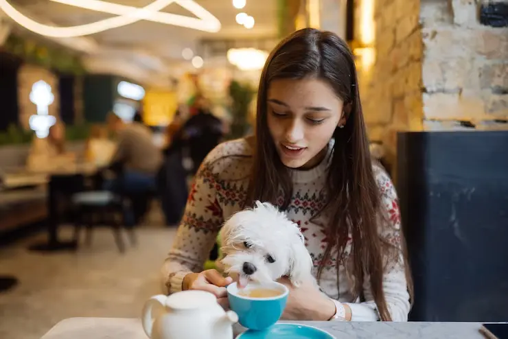 dogs restaurant in UAE