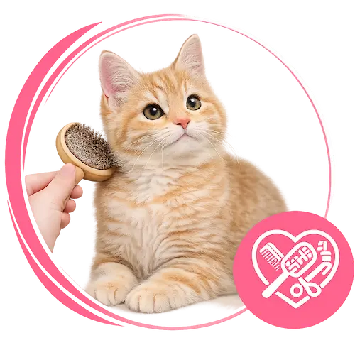 Cat grooming services in Abu Dhabi