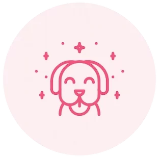 Clean and Groomed Dog