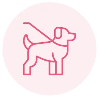 Professional Dog Walking Service