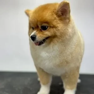imgi_10_AHRPTWmVGI6eJVakIbx66dAMkiBP2L9dnAHJ3E_SltLPsGRtl4mCB5UhlESo_ANJFWzZXJExvs8FUjDMXEHvR0BDWJbijTk6-ShW61kvJk4Kj7BXHjhQktbE_iUYzIrtQc5sIOZcEqln=w203-h360-k-no