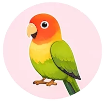 Mobile Bird Grooming in Al Ain