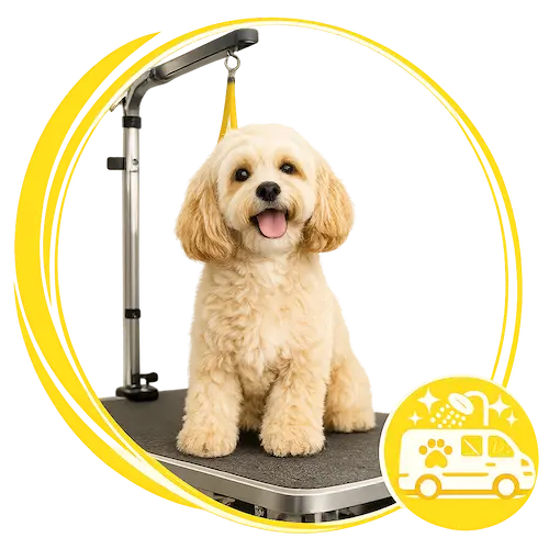 Mobile pet grooming services in Abu Dhabi