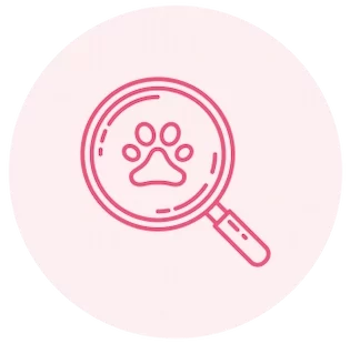 pet Health and Coat Inspection