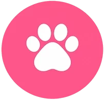 Cat Paw Pad