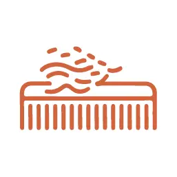 pets deshedding service